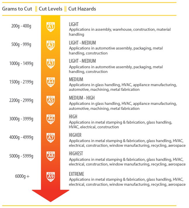 Ansi Risk Level Review For The ANSI Standard - Everpro Gloves